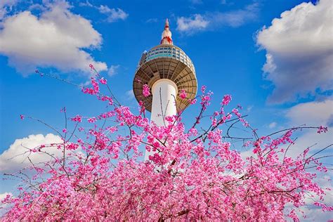 韓國好玩地方有哪些：深度探験旅游熱門地點